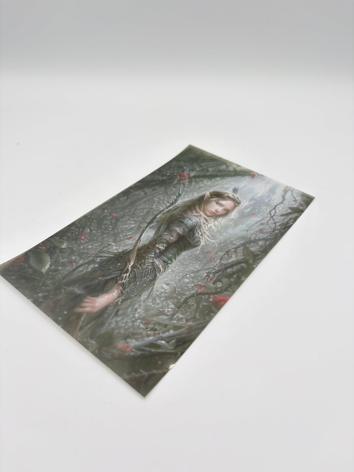Overlay "A Court of Thorns and Roses"- ilustrație detașabilă