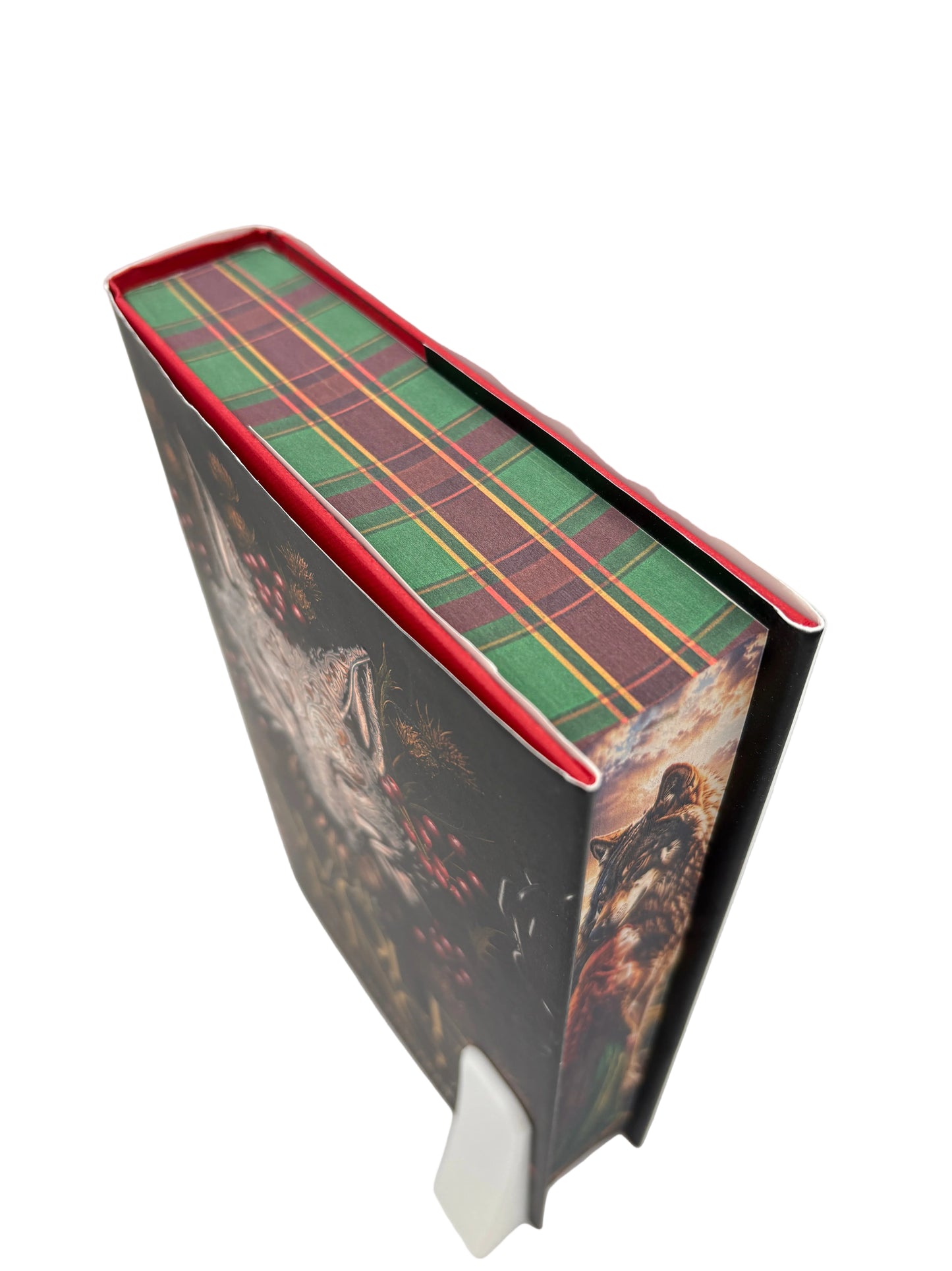 The Wolf King - printed edges (limba engleză)