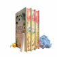 Funny Story - printed edges - Emily Henry