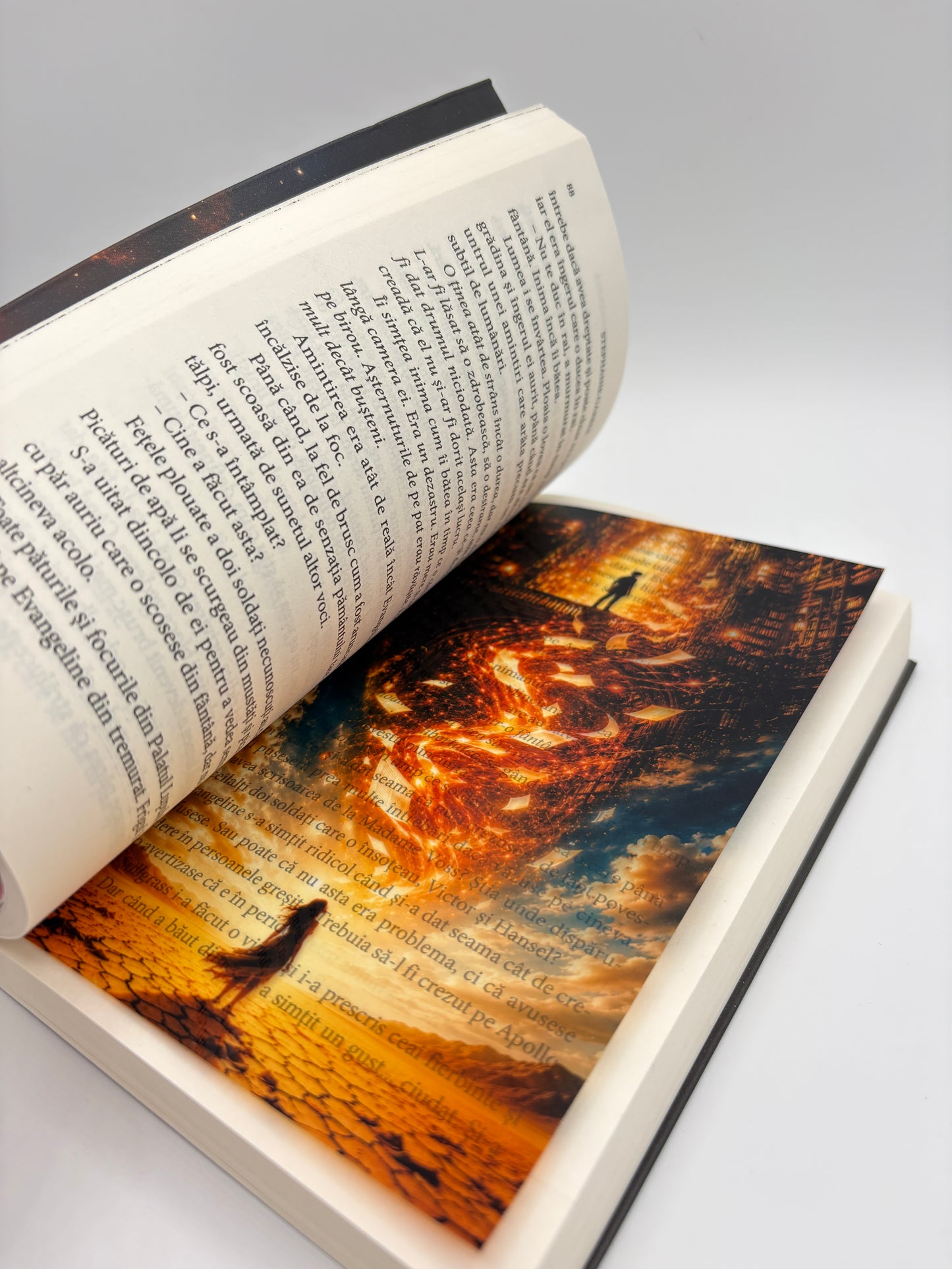 Overlay "The Book That Wouldn't Burn"- ilustrație detașabilă