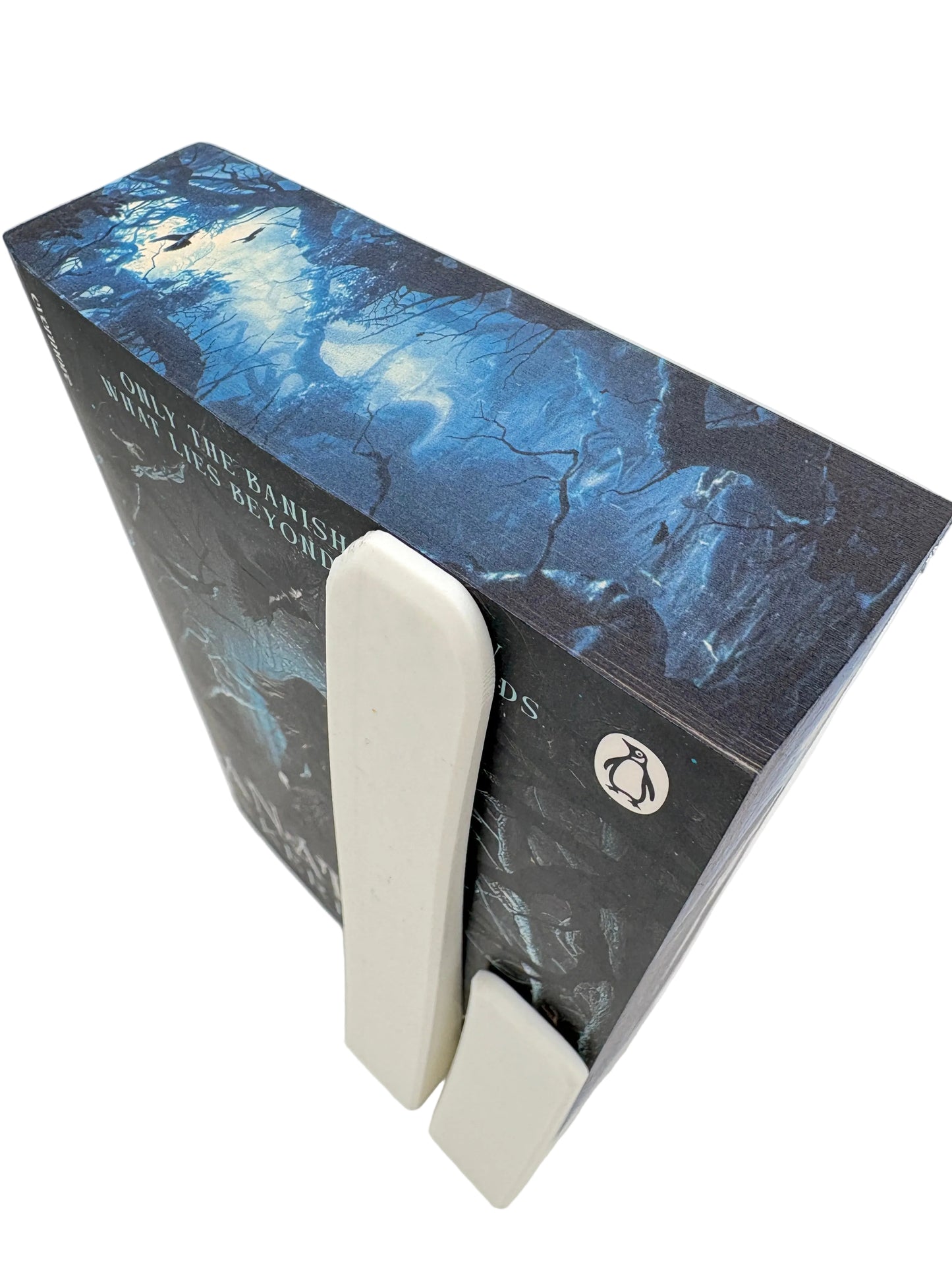 Anathema - printed edges - Keri Lake