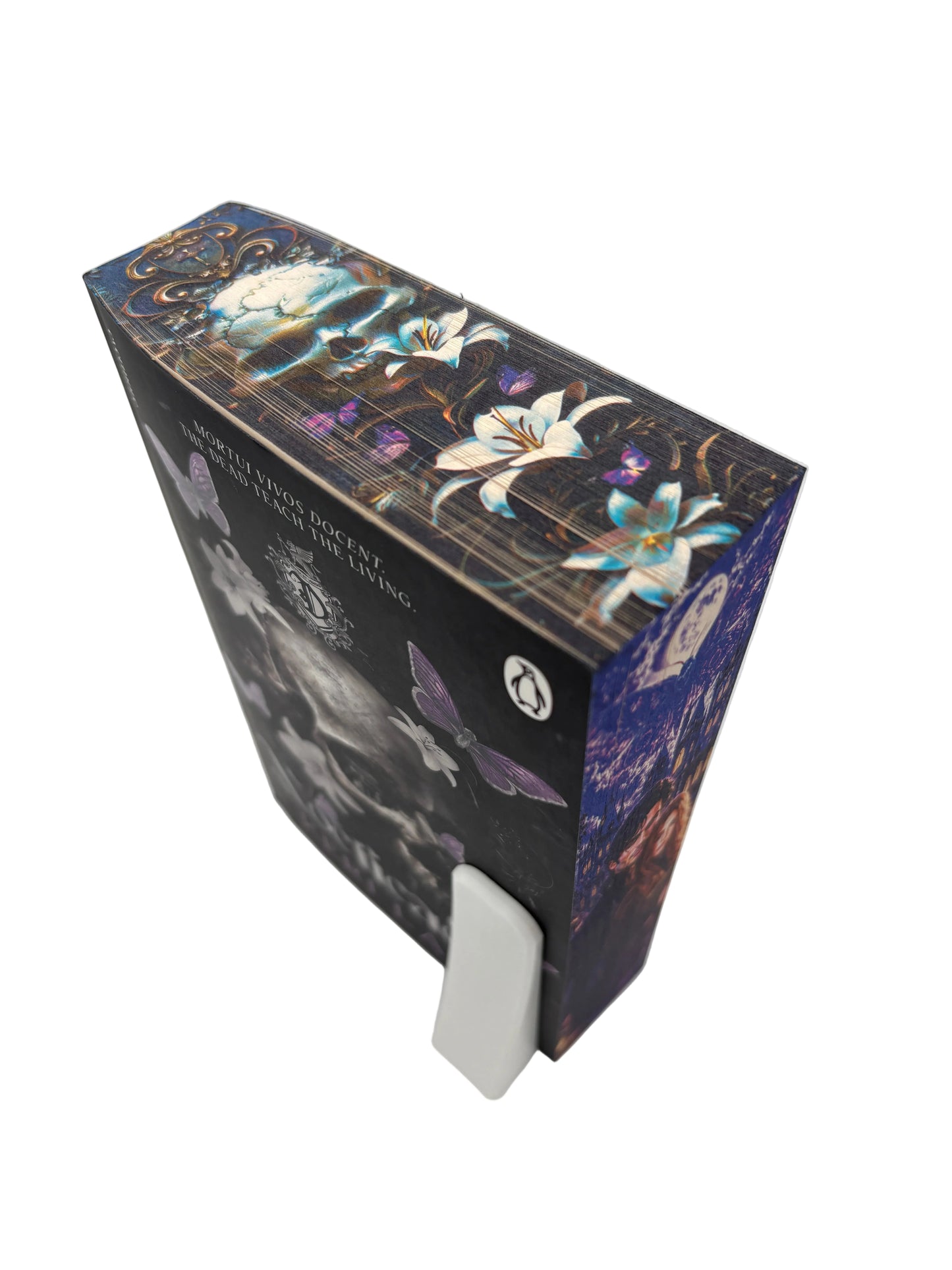 Nocticadia - printed edges - Keri Lake