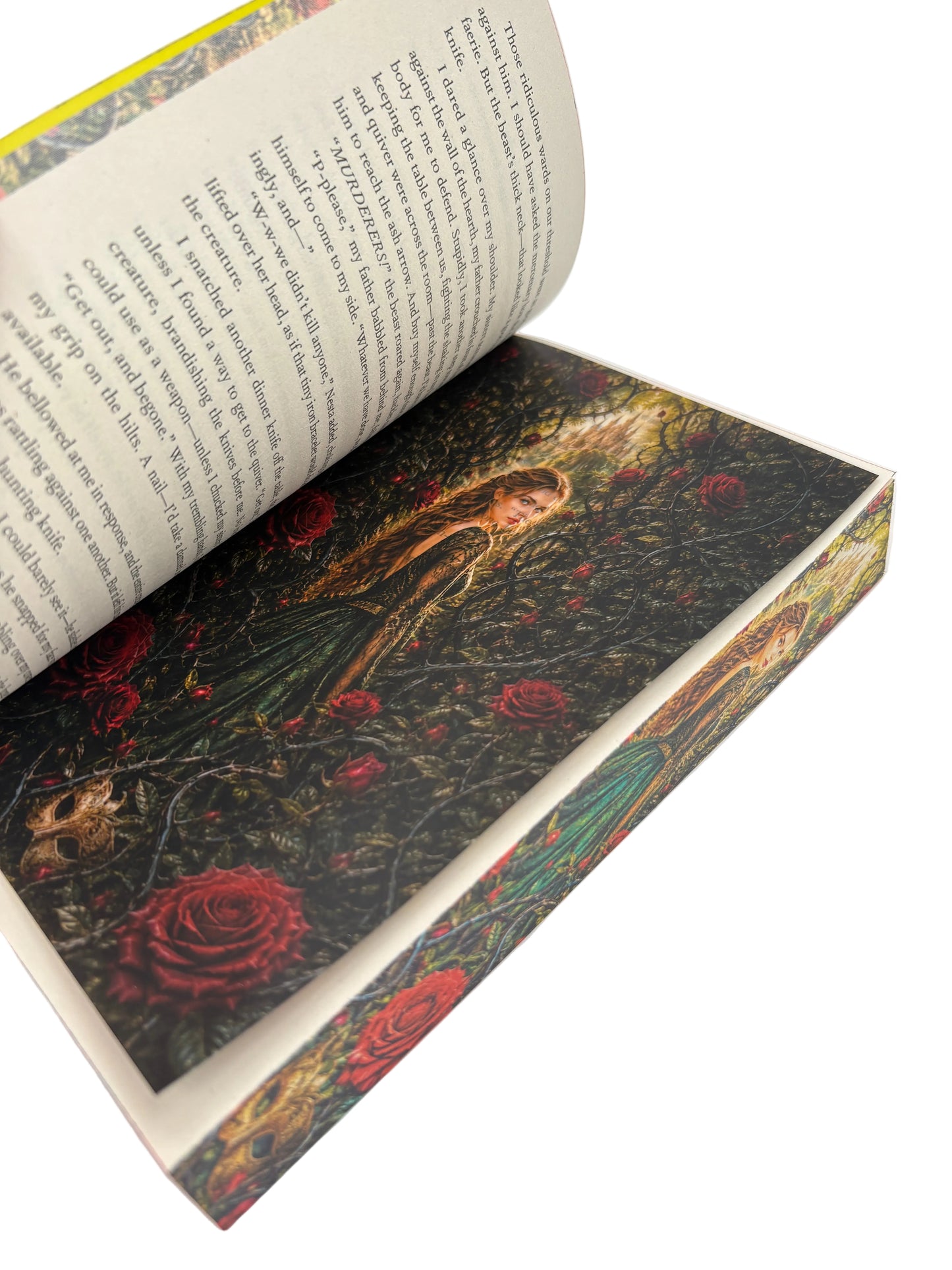 Overlay A Court Of Thorns And Roses - ilustrație detașabilă