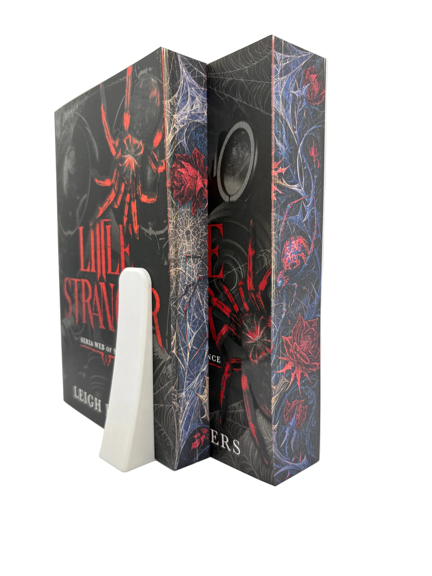 Little Stranger & Little Liar - printed edges - Web of Silence