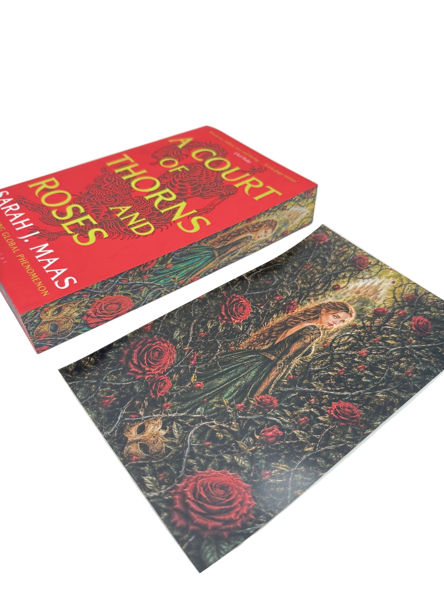 Overlay A Court Of Thorns And Roses - ilustrație detașabilă
