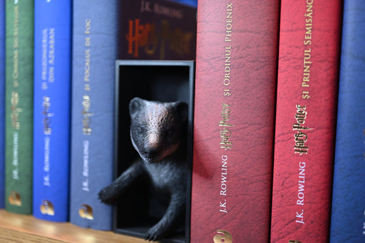 Book nook Bursuc negru, parțial ieșit dintr-o cutie neagră, plasat între volumele colorate ale seriei Harry Potter pe un raft din lemn.