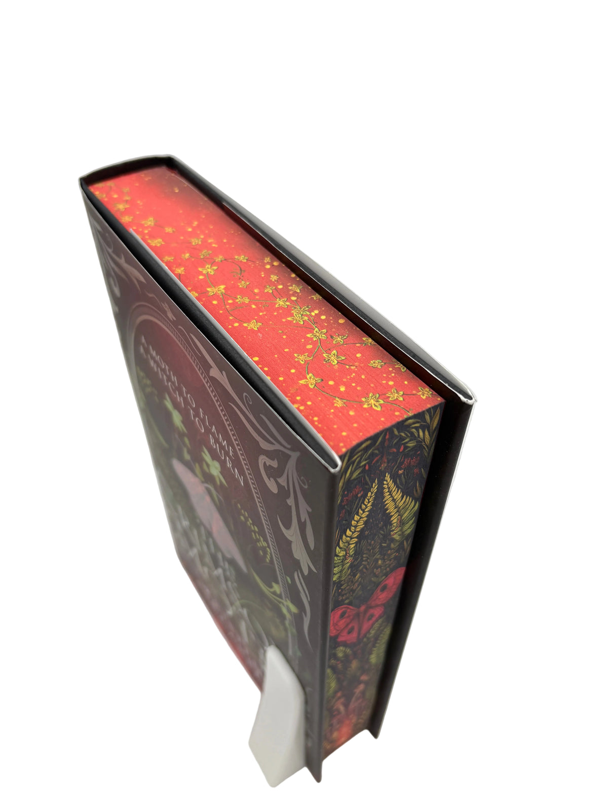 The Crimson Moth - printed edges - Kristen Ciccarelli