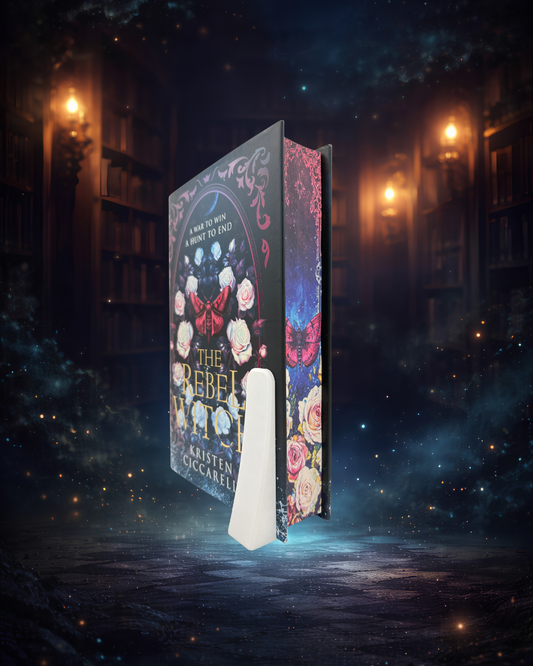 The Last Namsara - Kristen Ciccarelli