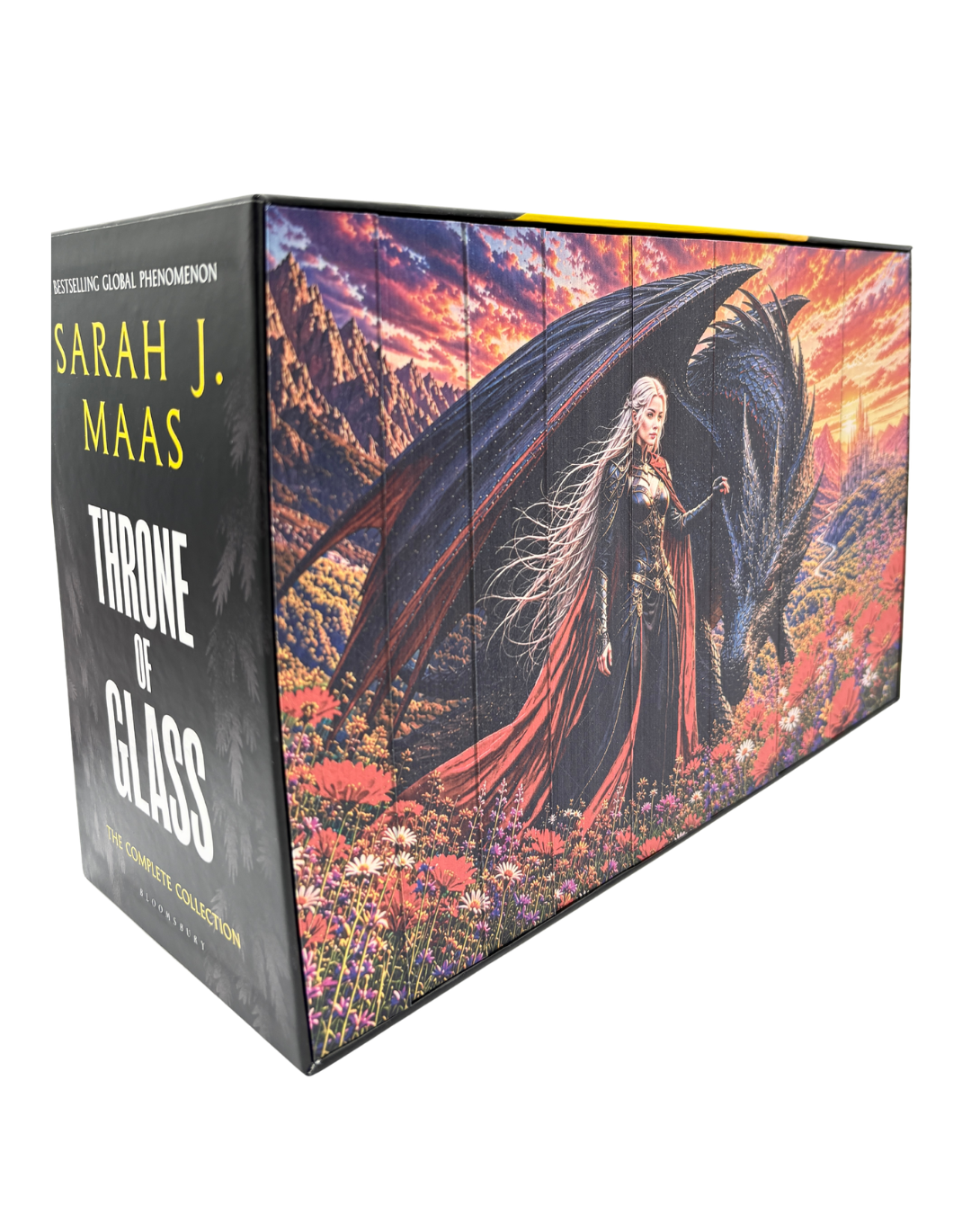 Box set Throne of Glass cu printed edges - limba engleză - design 2