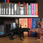 bookend dragon 3d care sufla flacari