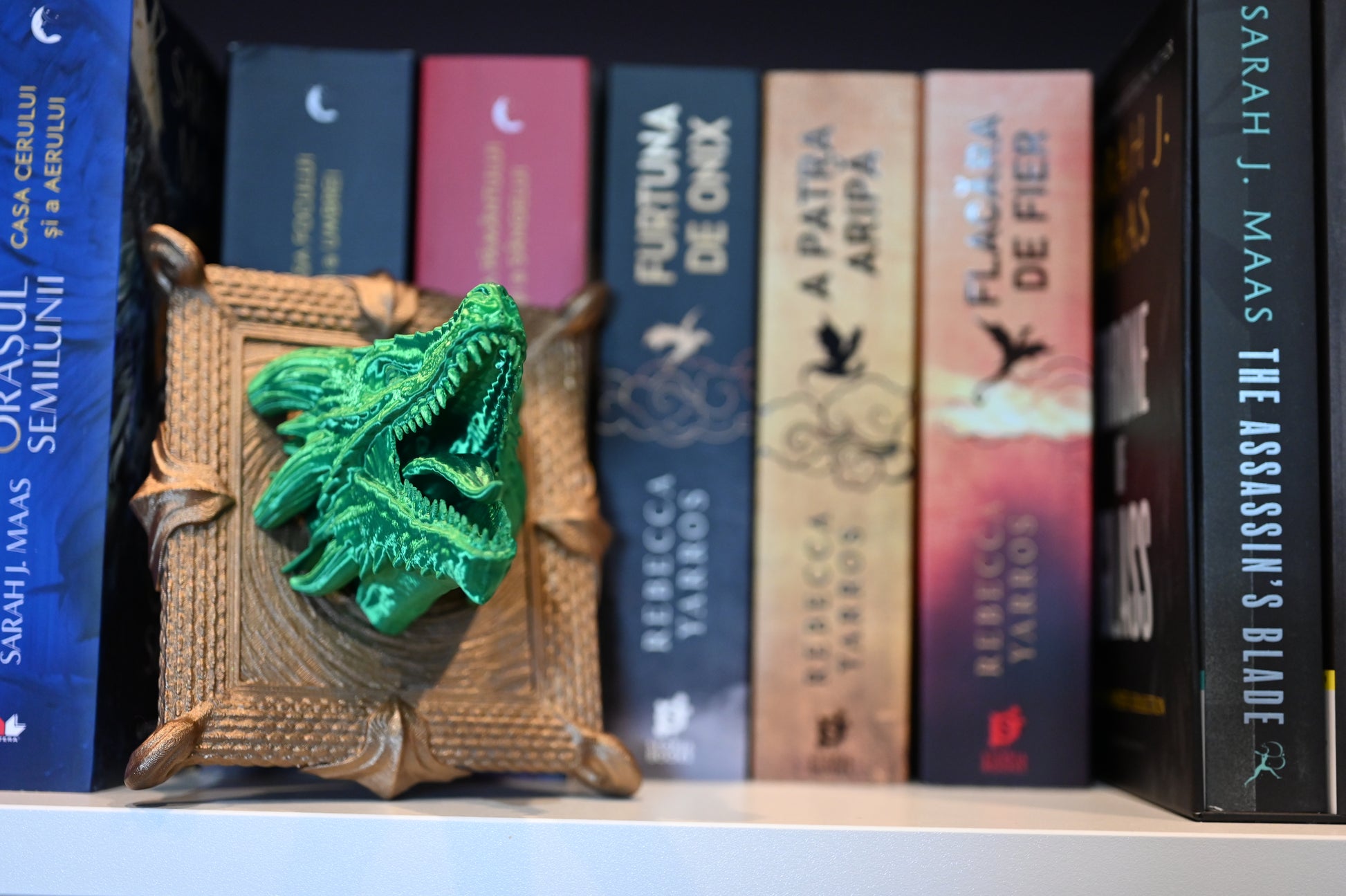 Cap de dragon 3D asezat intr-o rama in biblioteca